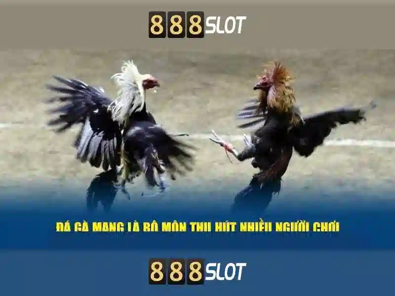 qq slot 888 – Tổng quan và trải nghiệm với panen 888 slot Go88