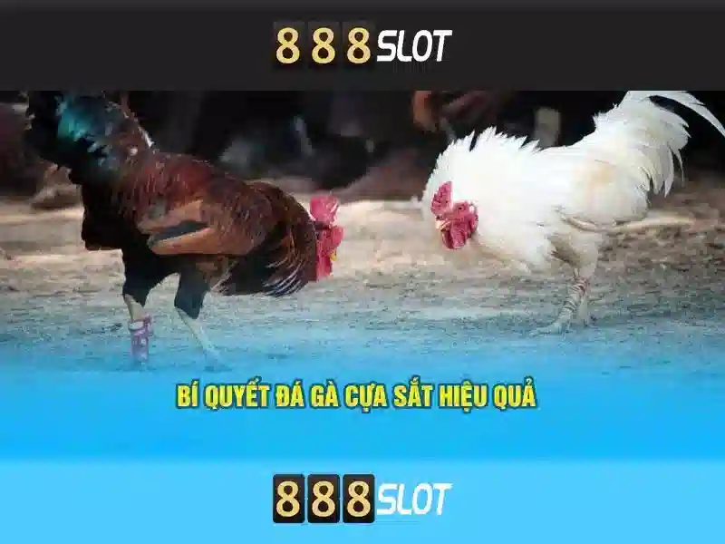 Đăng Nhập