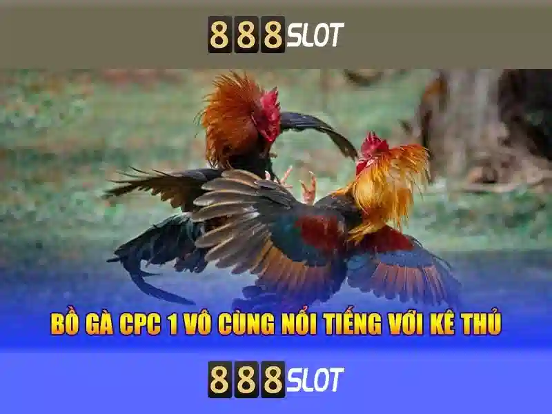 Thẻ nhãn cho nội dung liên quan đến slot vip trên trang tin cược trực tuyến 1 Đăng Nhập