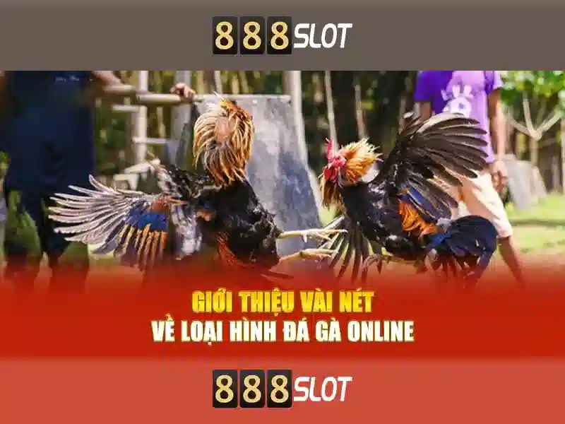 Giới thiệu về 888slot