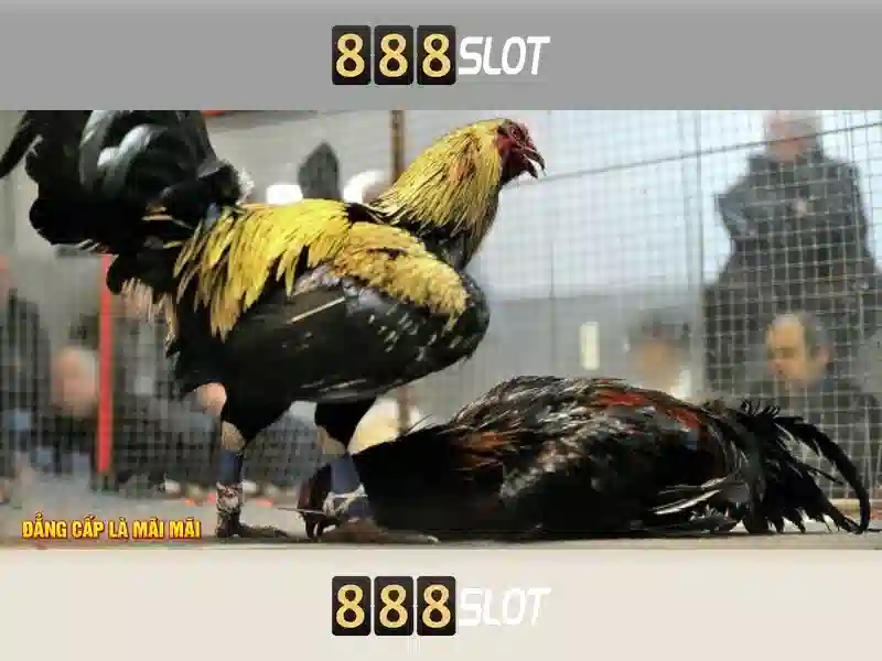 Tag danh mục liên quan slot khu vực châu Á 1 Đăng Nhập