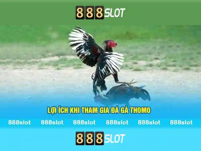 Giới thiệu về 888slot Giới thiệu về 888slot