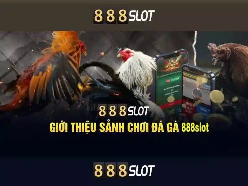 Khuyến mãi và bảo mật