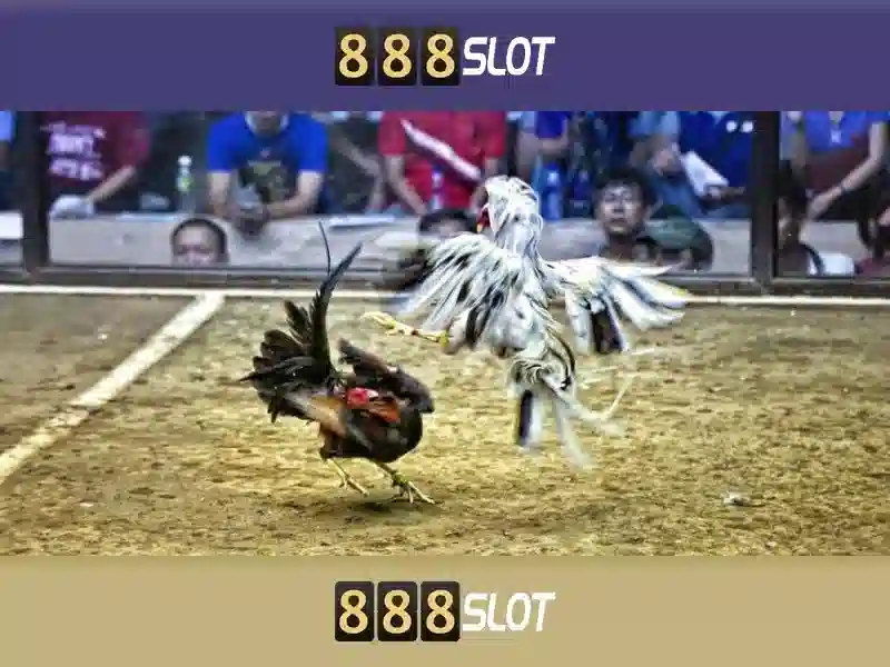 888slot - Nền tảng slot online đáng tin cậy tại Việt Nam 1 Đăng Nhập