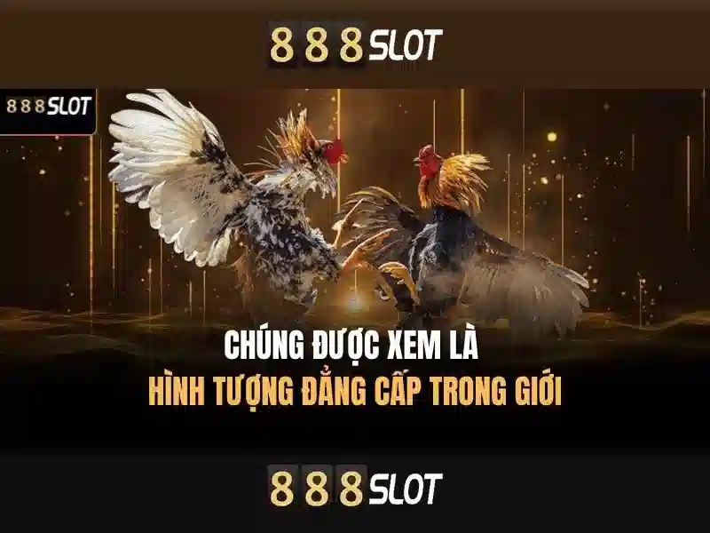 Đa dạng trò chơi và tiện ích