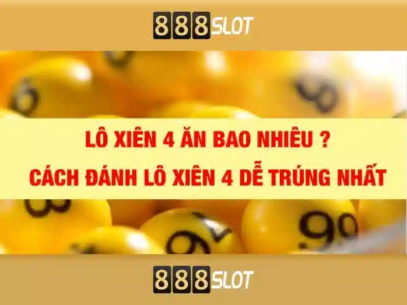 Trải nghiệm người dùng và hỗ trợ khách hàng