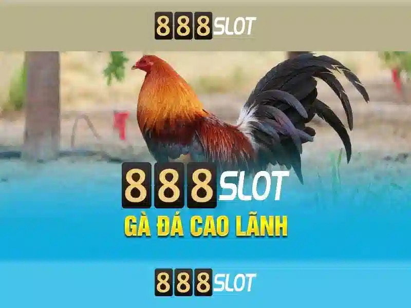 Khuyến mãi và thanh toán