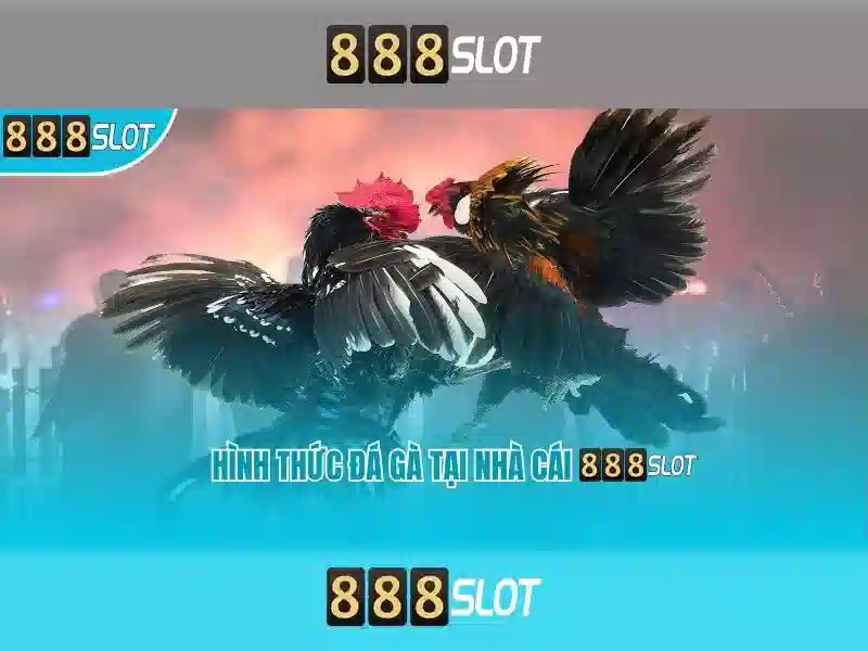 888slot – Nền tảng casino slot trực tuyến và trải nghiệm giải trí an toàn 1 Đăng Nhập