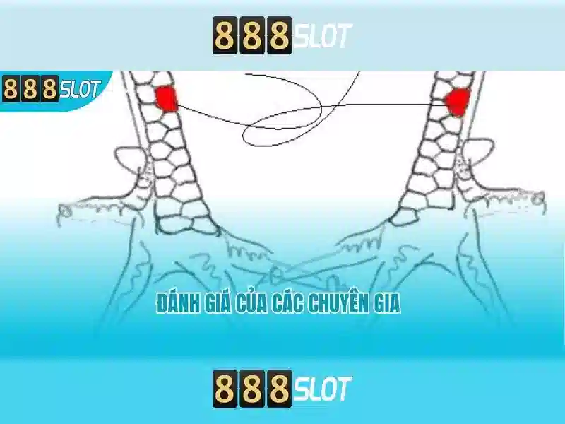 Soi kèo hiệp 1