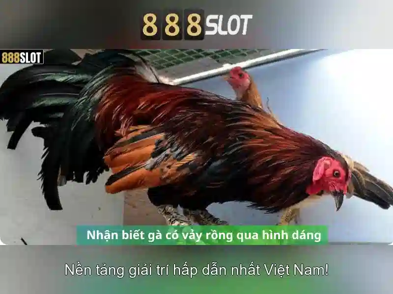 Soi kèo hiệp 1