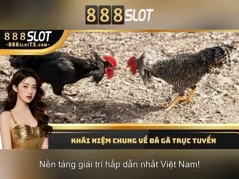 An toàn và hướng dẫn tham gia