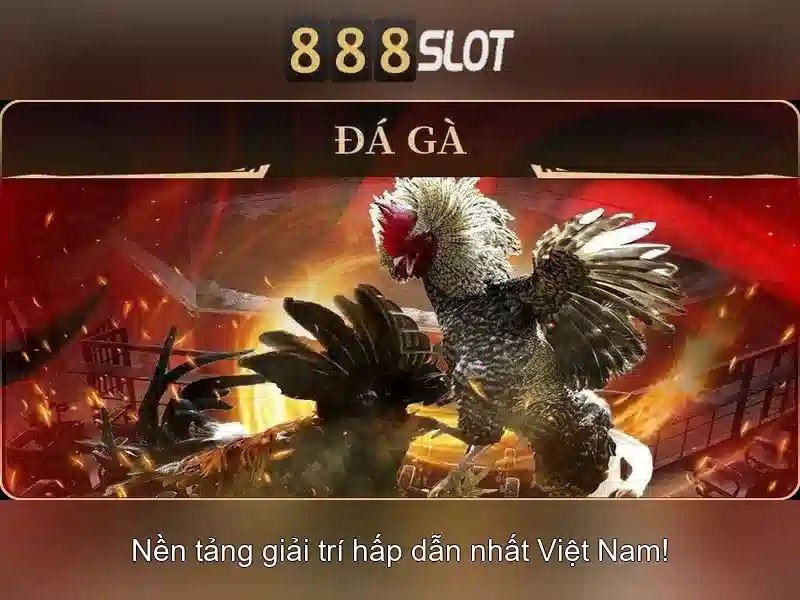 Khuyến mãi và ưu đãi