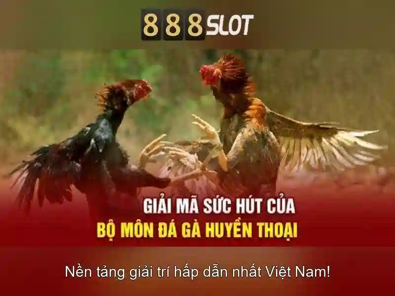Khuyến mãi và chương trình thưởng