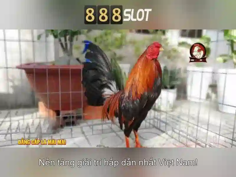 Soi kèo hiệp 1