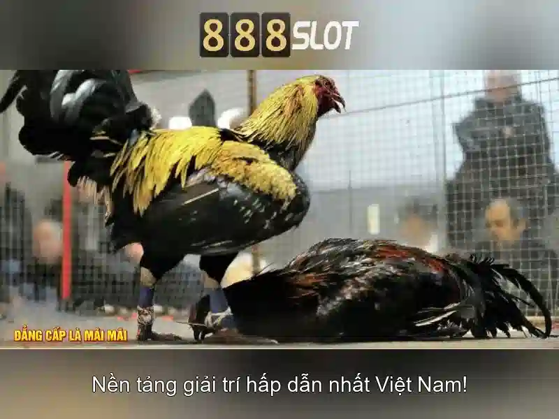 An toan tai khoan va thanh toan\n