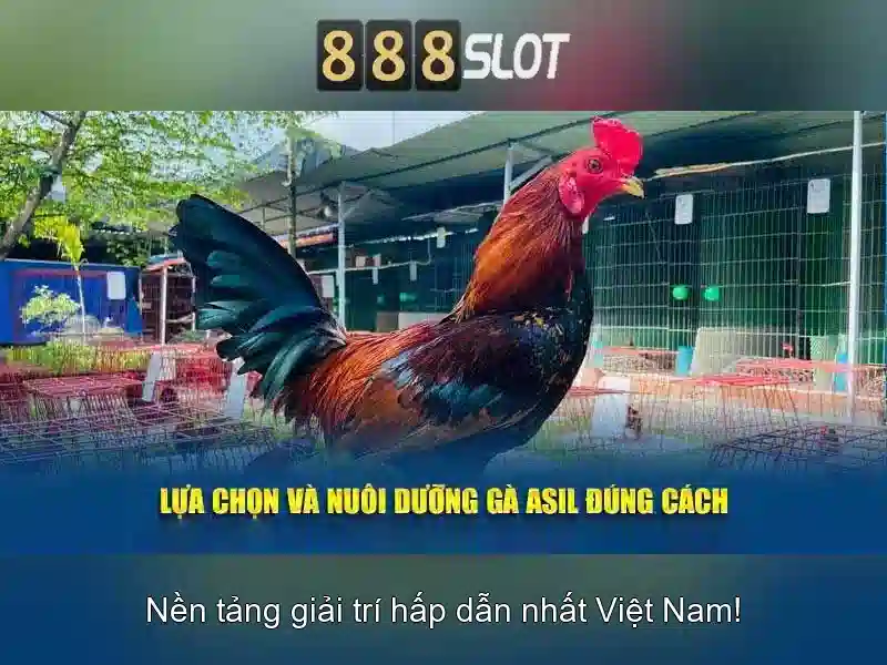 Trò chơi và tính năng đặc sắc\n\n Trò chơi và tính năng đặc sắc\n\n