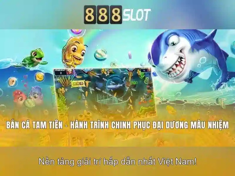 Hỗ trợ khách hàng và dịch vụ