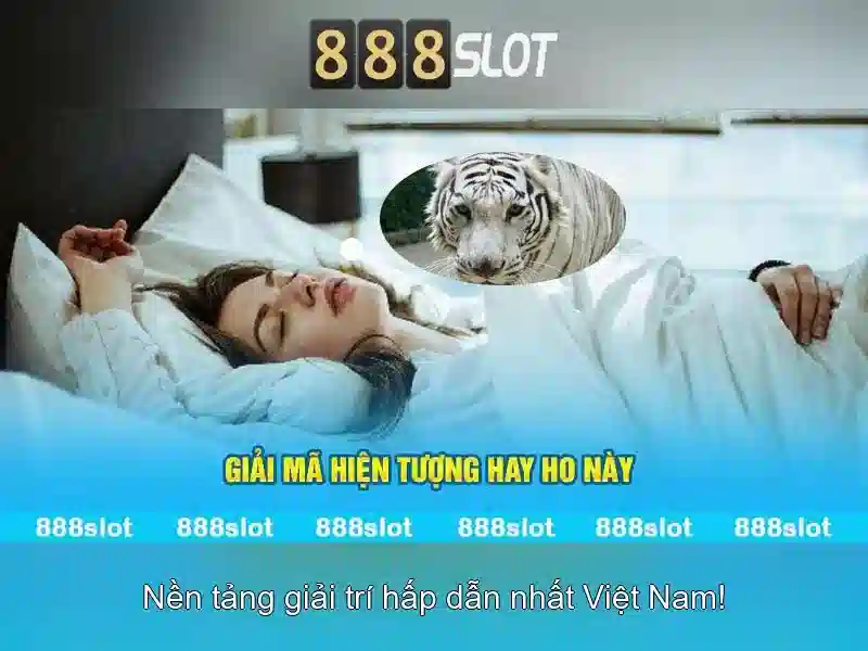 Tổng quan về 888slot