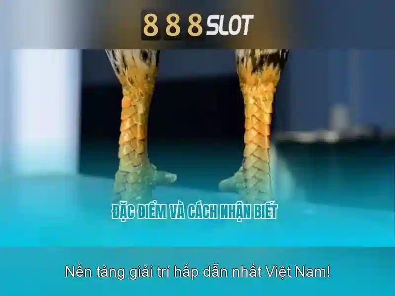 Đăng Nhập