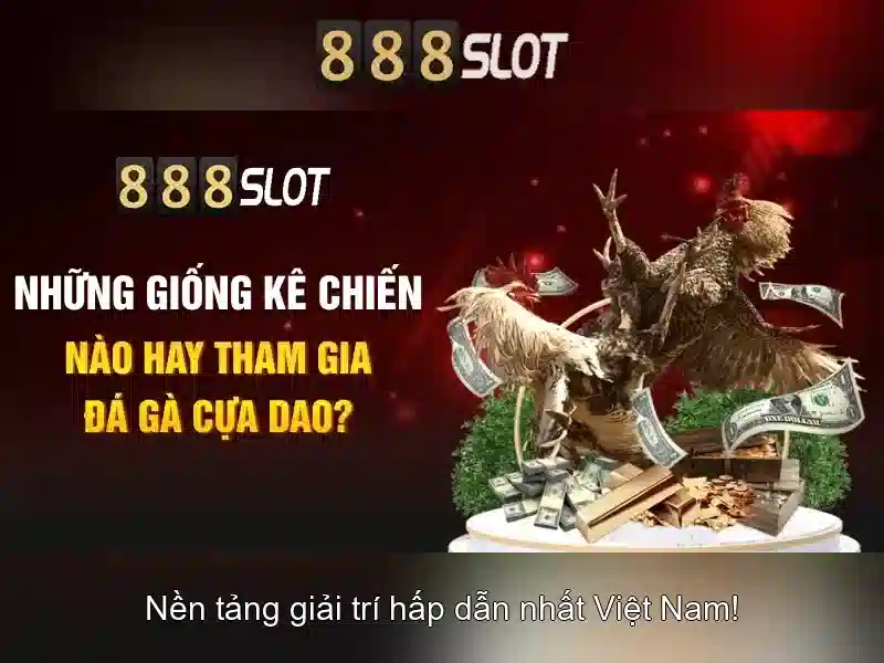 Đặc điểm nổi bật