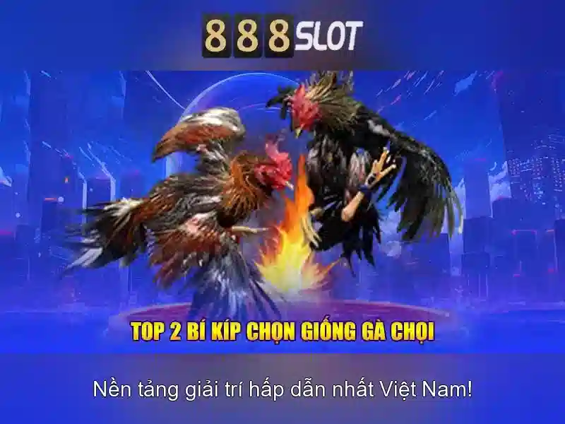 Cài đặt và trải nghiệm người dùng