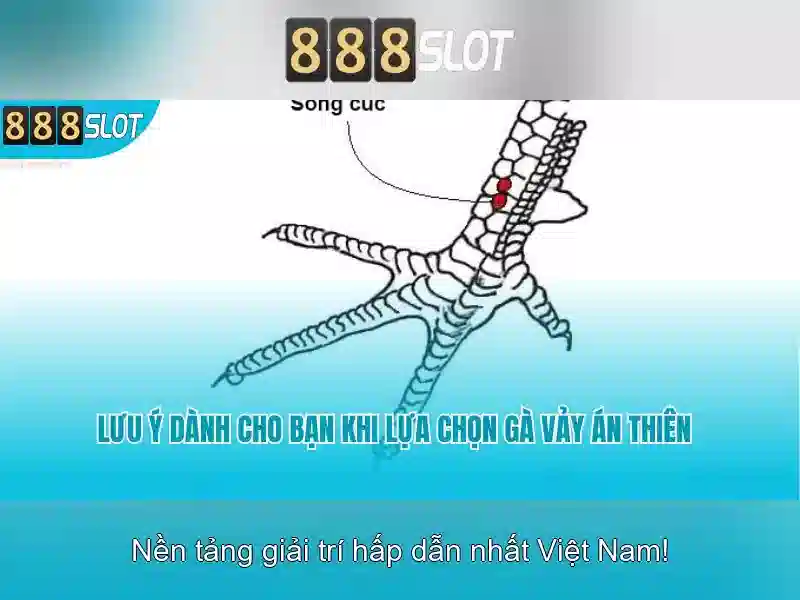 888slot - Trải nghiệm casino trực tuyến đỉnh cao tại Việt Nam 1 Đăng Nhập